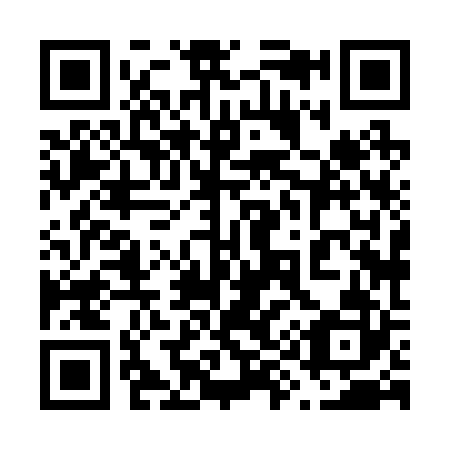 QR code for plate 698-222