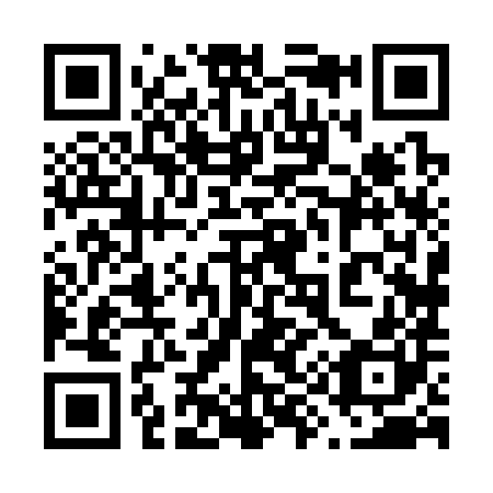 QR code for plate 698-380