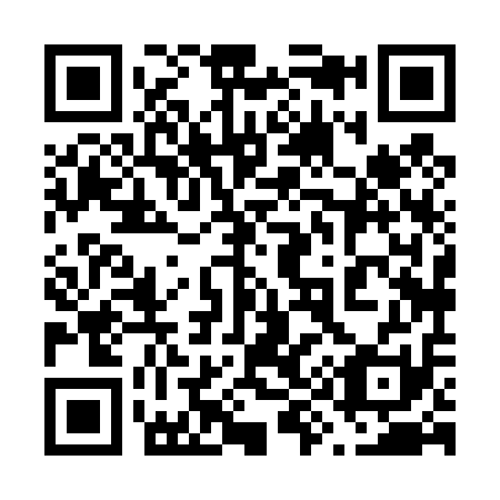 QR code for plate 698-411