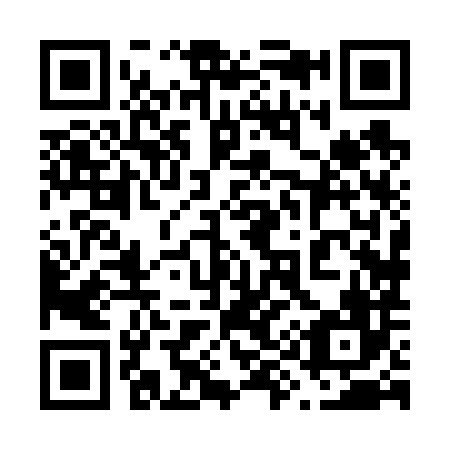 QR code for plate 698-686