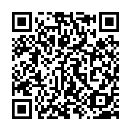 QR code for 699-218