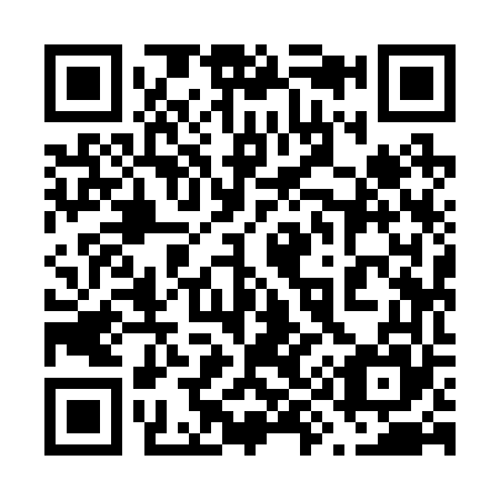 QR code for plate 699-265