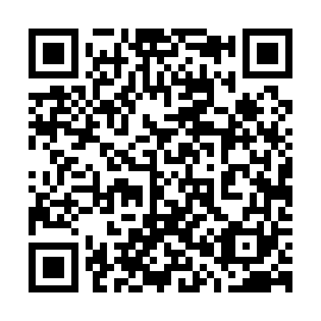QR code for plate 704-161