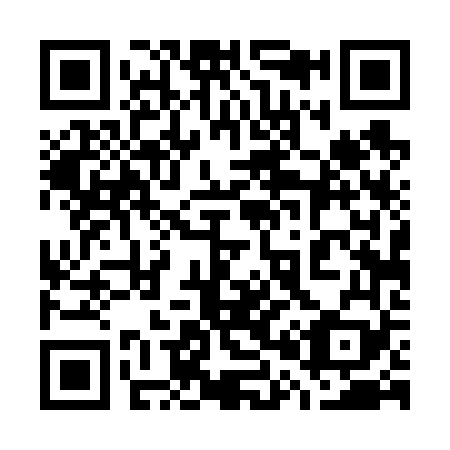 QR code for plate 704-669