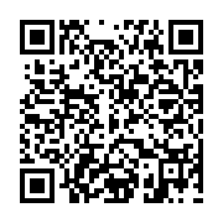 QR code for 711-333