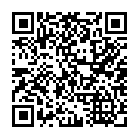 QR code for plate 737-305
