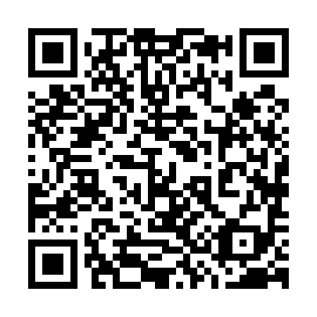 QR code for 738599