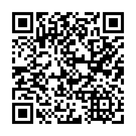 QR code for plate 738-917