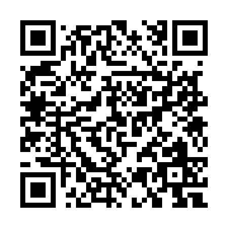 QR code for 75313