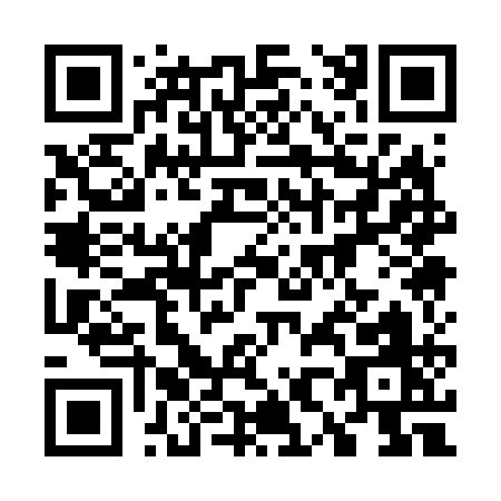 QR code for 78161