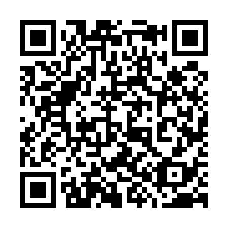 QR code for 786538