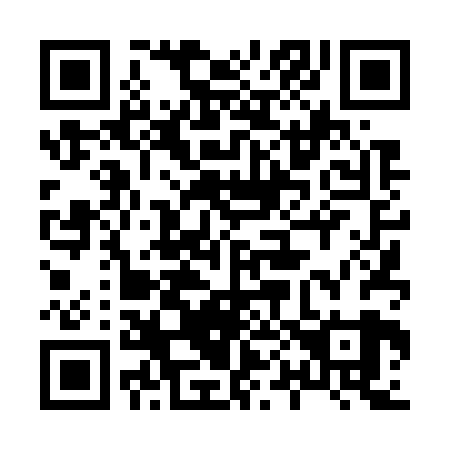 QR code for plate 804-729