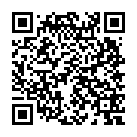 QR code for plate 805-668