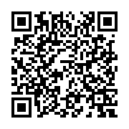 QR code for 8081