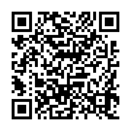 QR code for plate 808-698