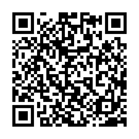 QR code for 810-333