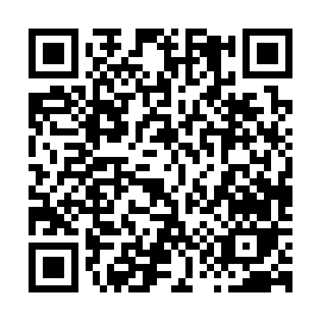 QR code for 81036