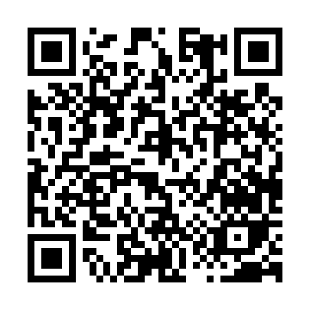 QR code for 81046