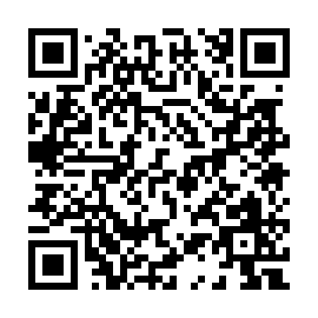 QR code for 81101
