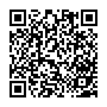 QR code for 81205
