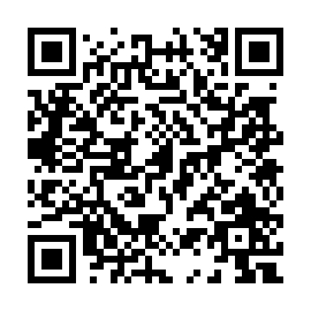 QR code for 81300