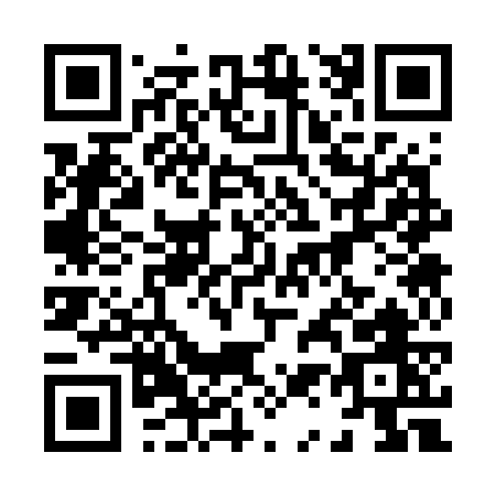 QR code for 81377