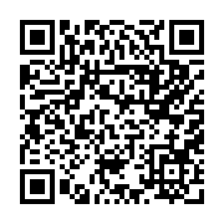 QR code for 81508
