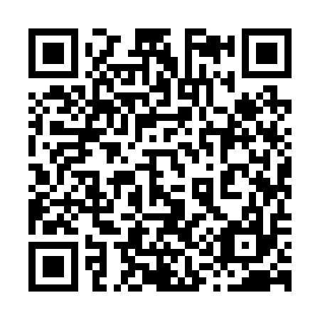 QR code for plate 819-217