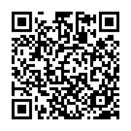 QR code for plate 819-507
