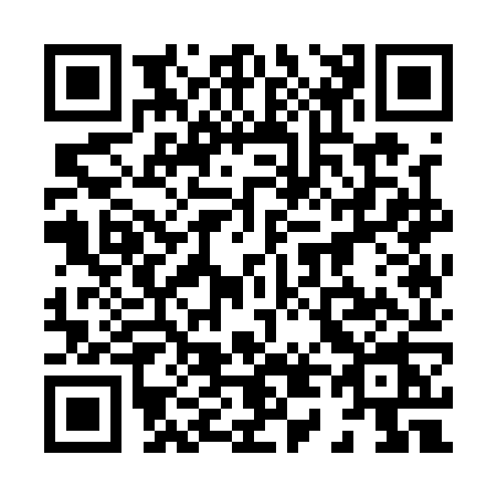 QR code for 8411