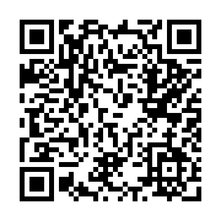 QR code for 85161