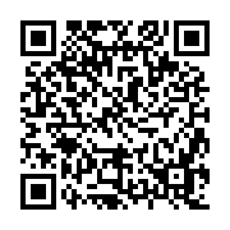QR code for 8538