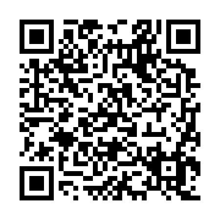 QR code for 85636