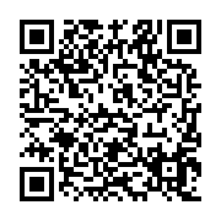 QR code for 85691