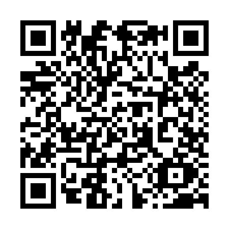 QR code for 8594