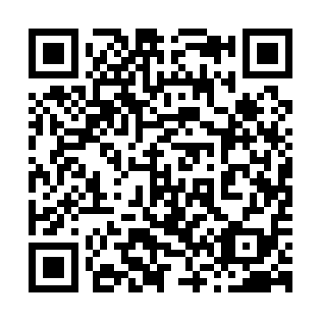 QR code for plate 861-119