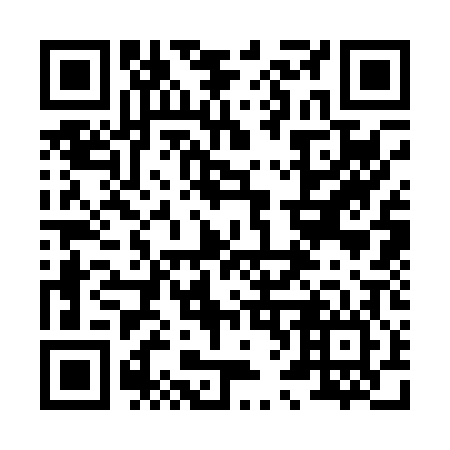 QR code for plate 863-006