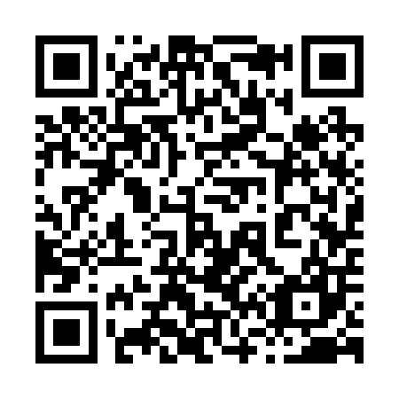 QR code for 863207
