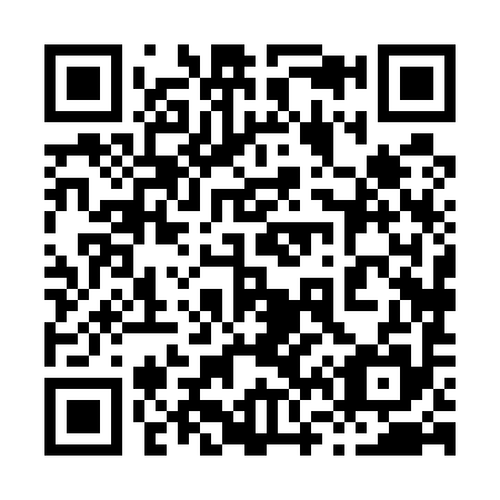 QR code for 868-595