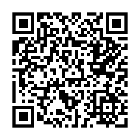 QR code for 86863