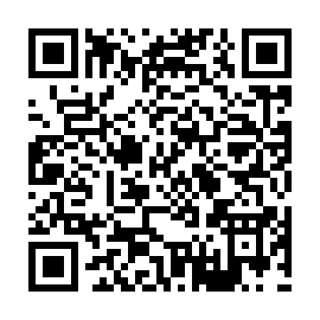 QR code for 86991