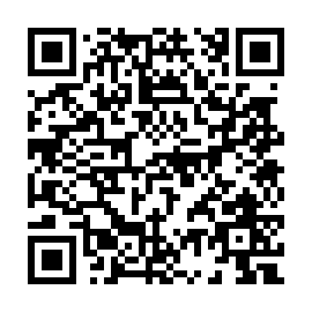 QR code for 87307
