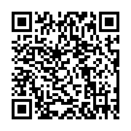 QR code for 87312