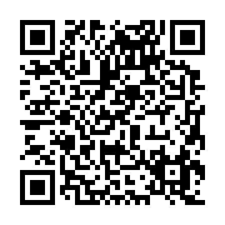 QR code for 87333