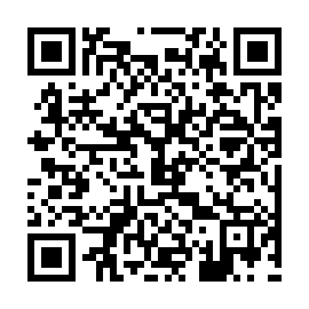 QR code for plate 873-387