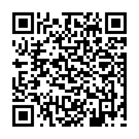 QR code for 8738