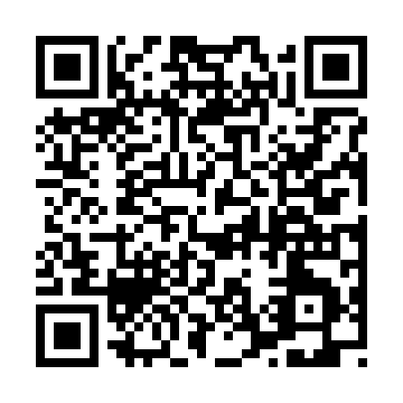 QR code for 87629