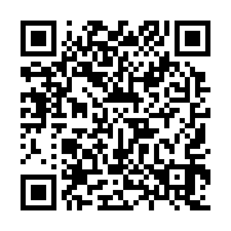 QR code for plate 889-313