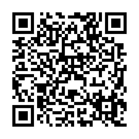 QR code for 89173