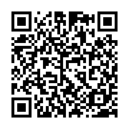 QR code for 895295
